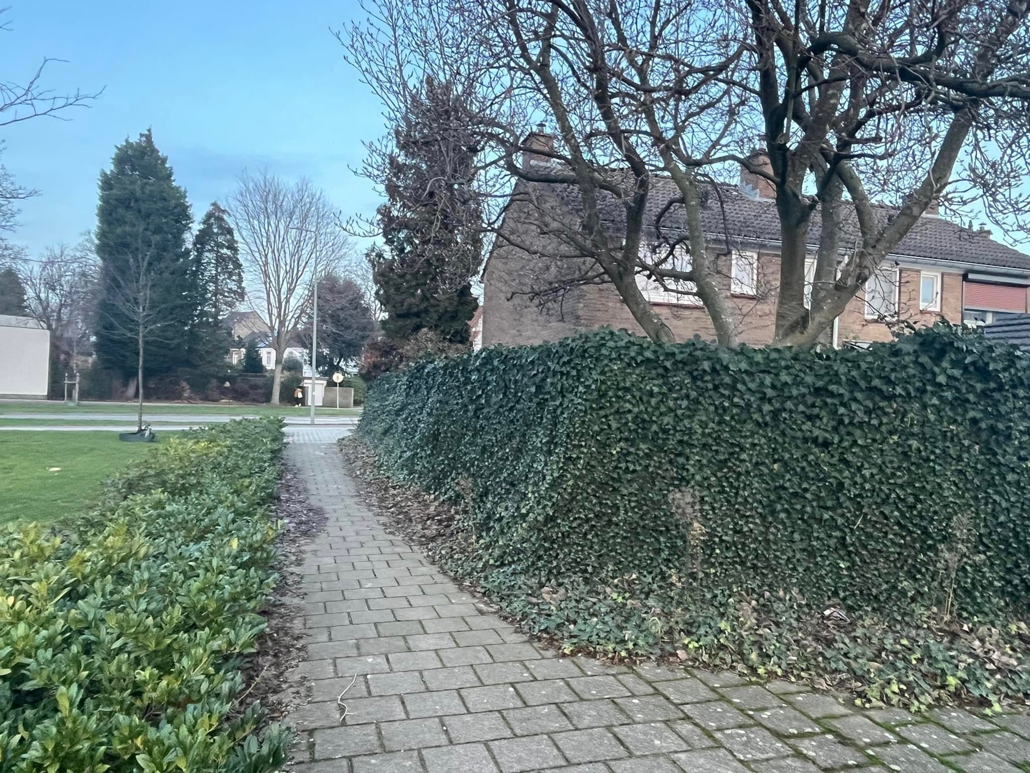 Voor