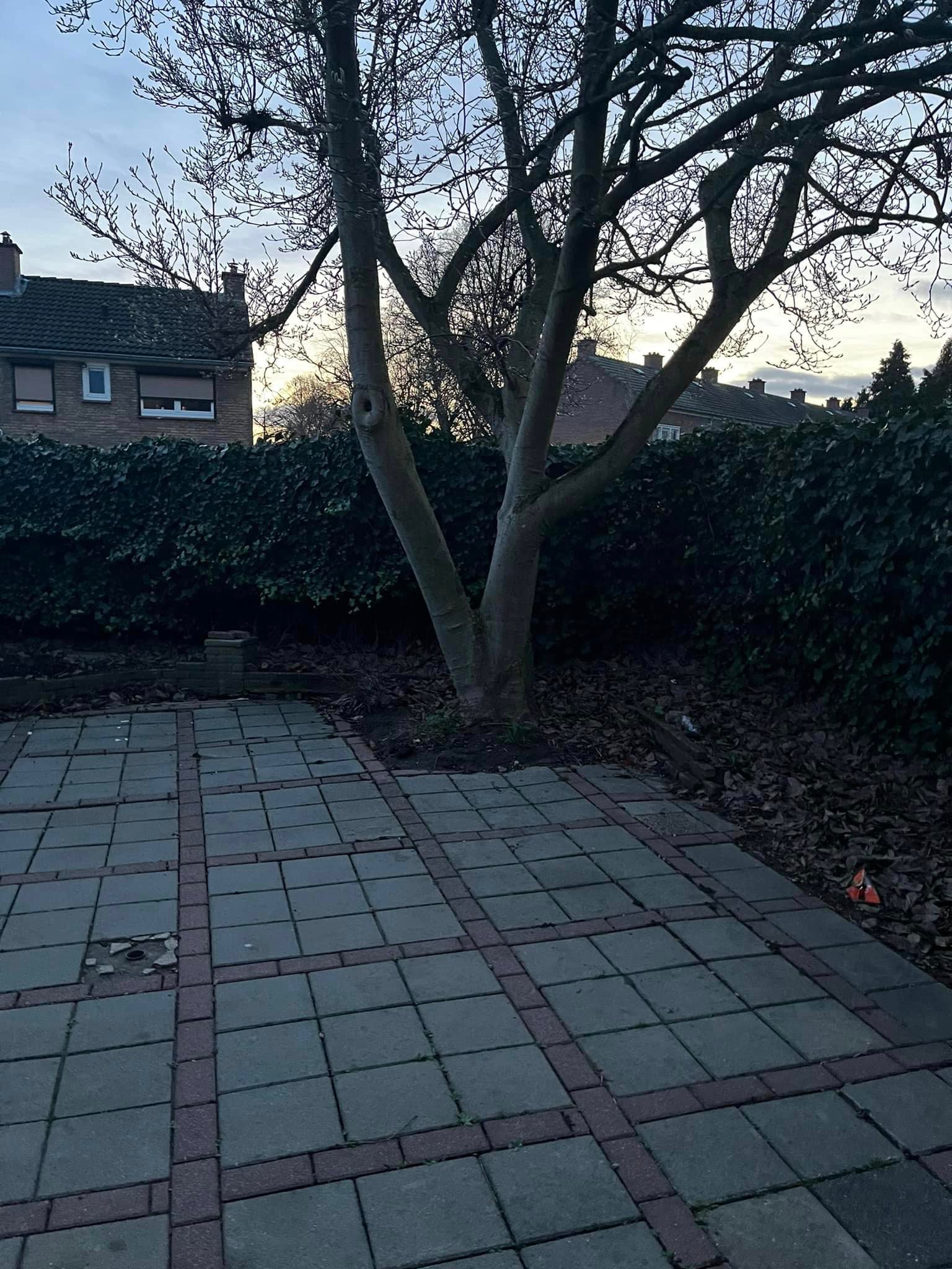 Voor